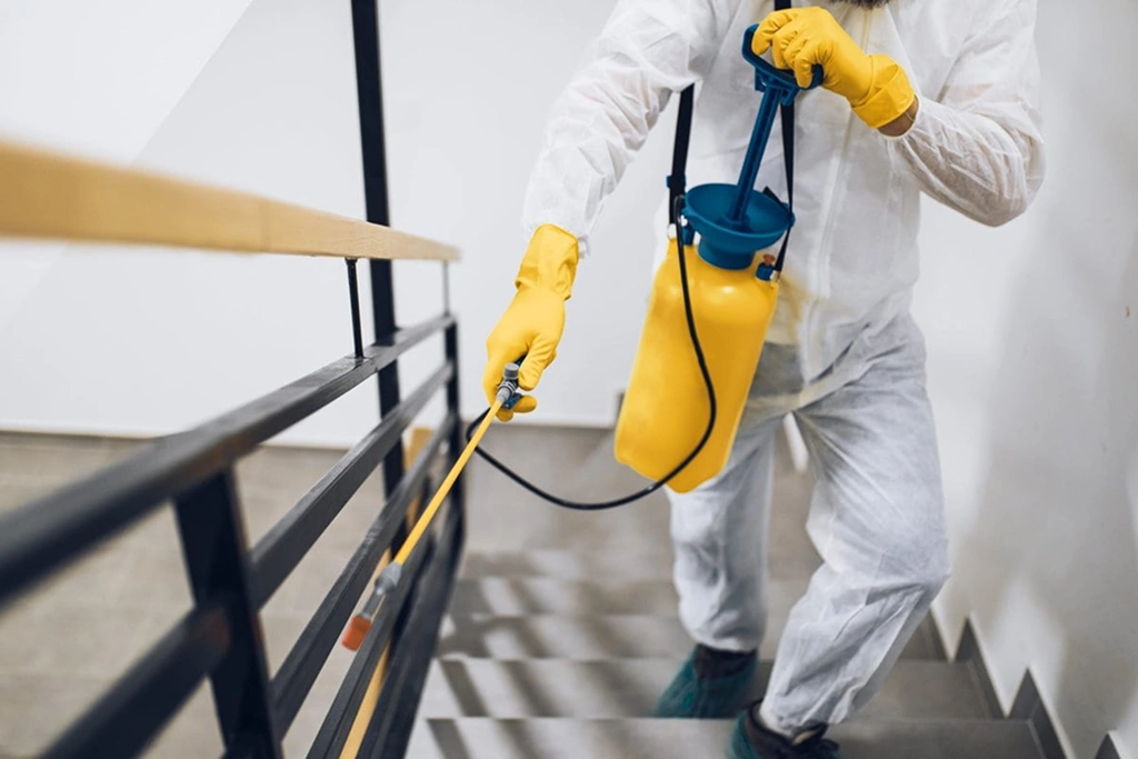 SEO for pest control companies